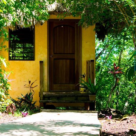Amber Sunset Jungle Resort 圣伊格纳西奥 外观 照片