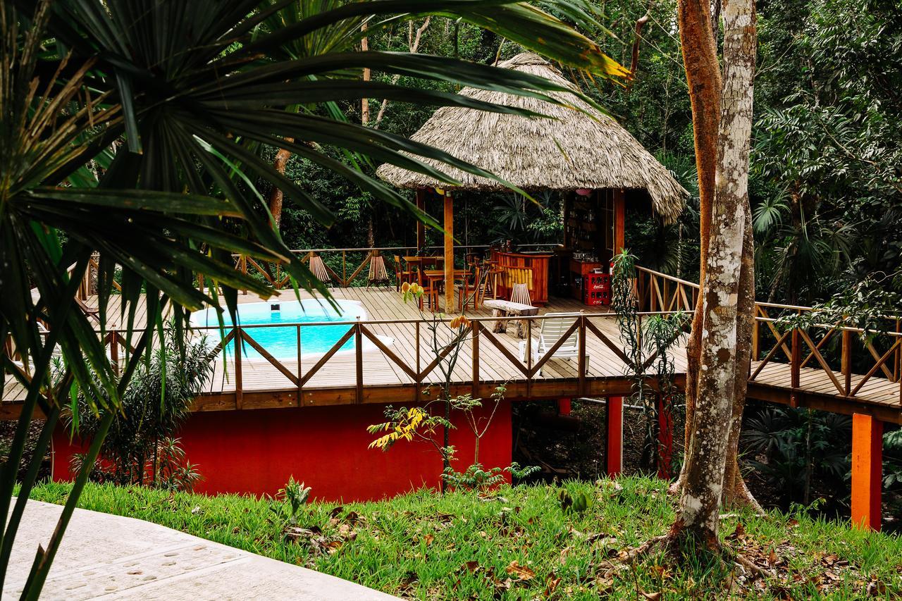 Amber Sunset Jungle Resort 圣伊格纳西奥 外观 照片