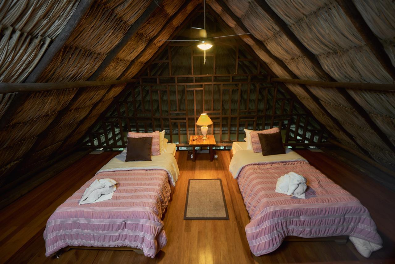 Amber Sunset Jungle Resort 圣伊格纳西奥 外观 照片