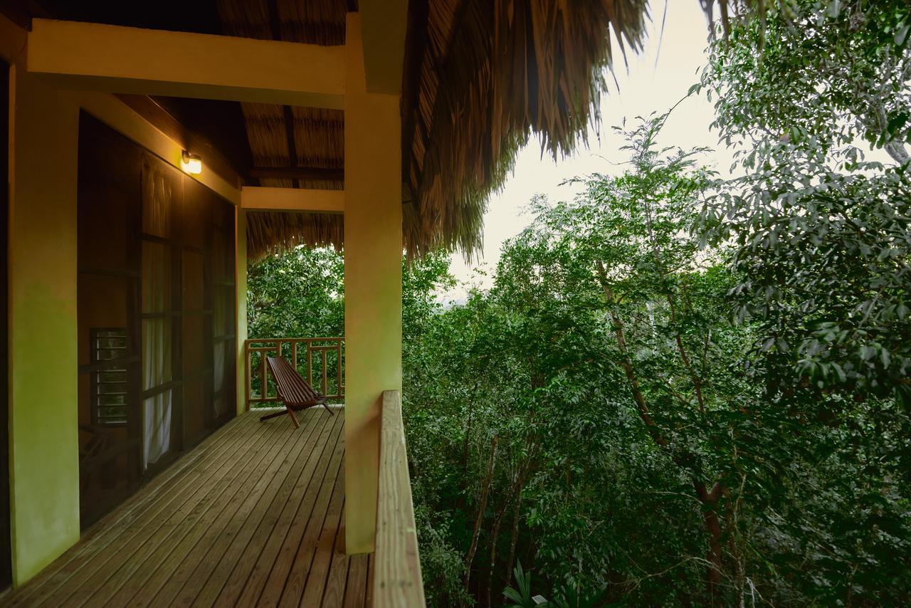 Amber Sunset Jungle Resort 圣伊格纳西奥 外观 照片