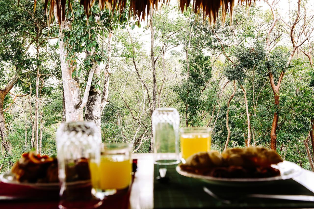 Amber Sunset Jungle Resort 圣伊格纳西奥 外观 照片