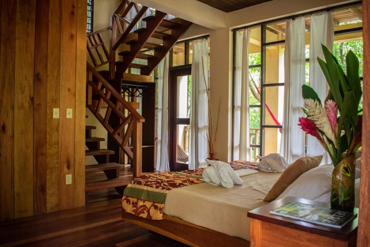 Amber Sunset Jungle Resort 圣伊格纳西奥 外观 照片