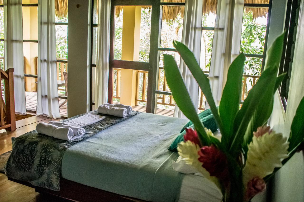Amber Sunset Jungle Resort 圣伊格纳西奥 外观 照片