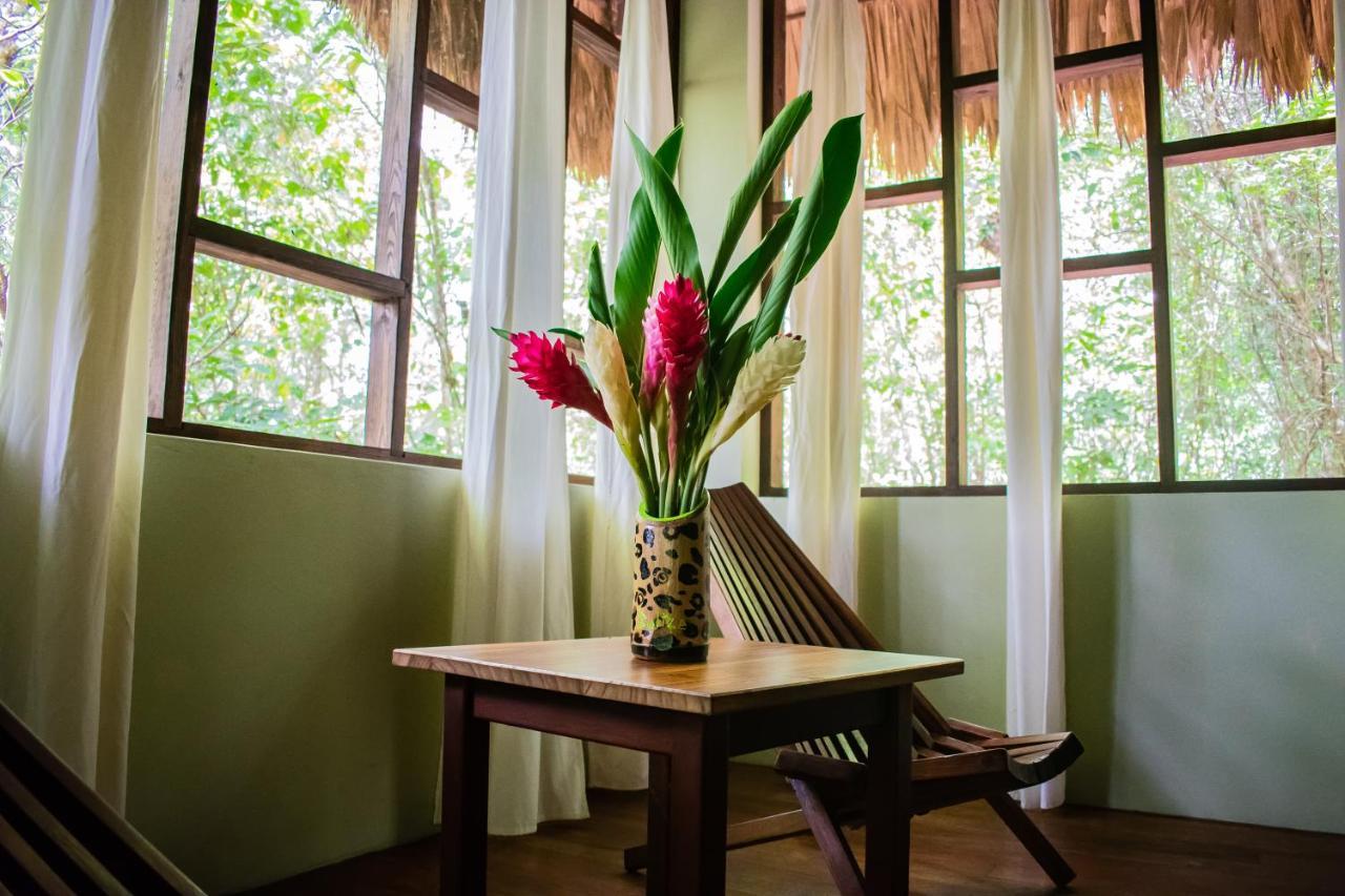 Amber Sunset Jungle Resort 圣伊格纳西奥 外观 照片