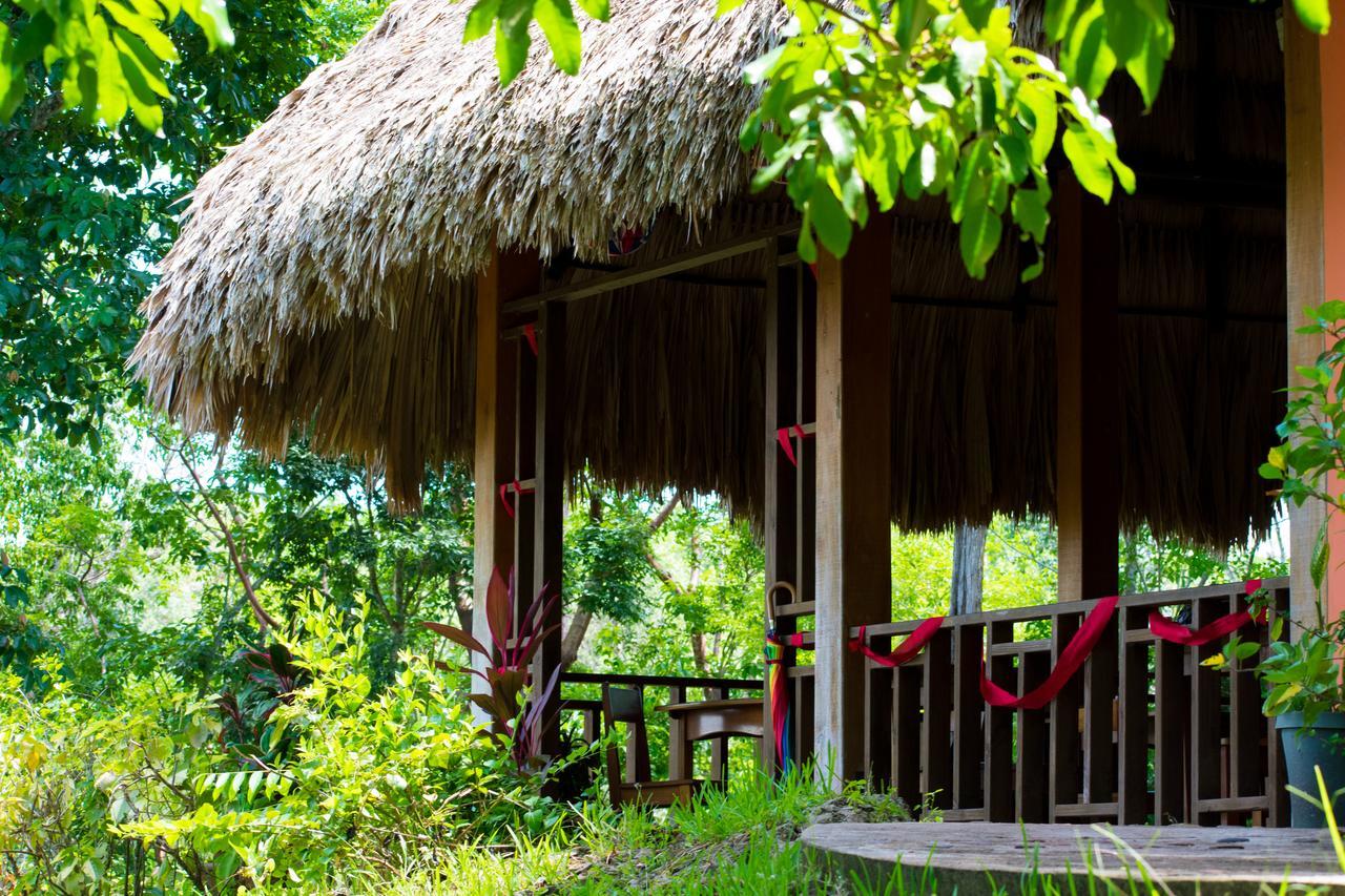 Amber Sunset Jungle Resort 圣伊格纳西奥 外观 照片