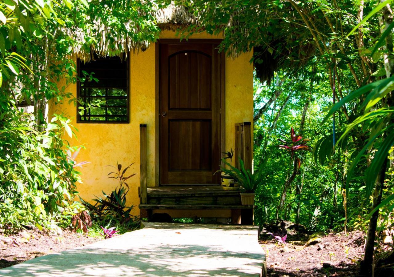 Amber Sunset Jungle Resort 圣伊格纳西奥 外观 照片