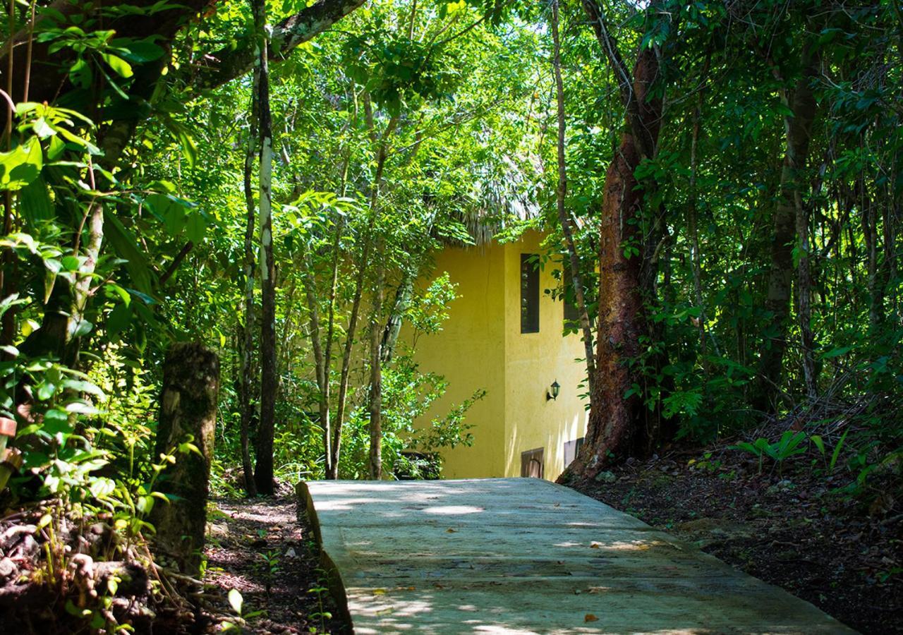 Amber Sunset Jungle Resort 圣伊格纳西奥 外观 照片