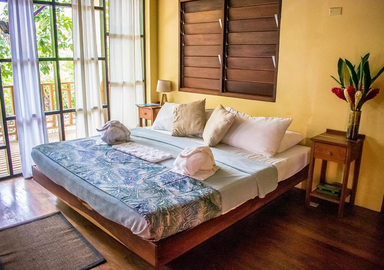 Amber Sunset Jungle Resort 圣伊格纳西奥 外观 照片