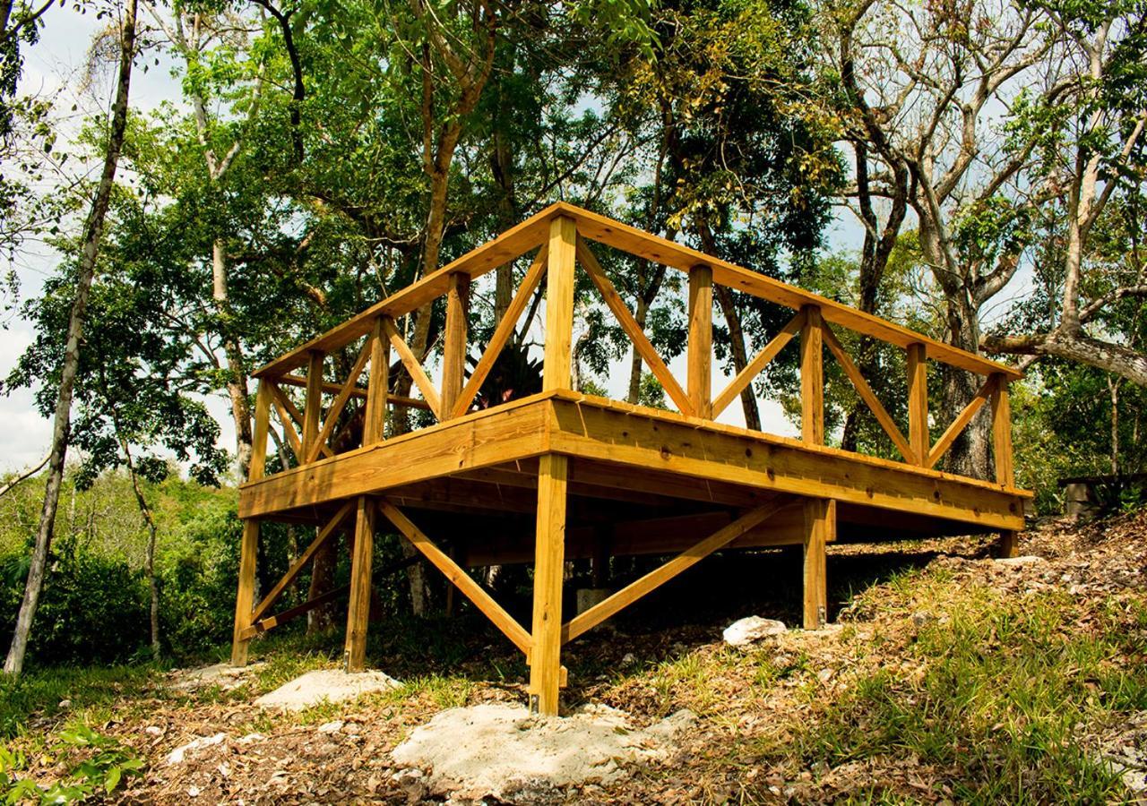Amber Sunset Jungle Resort 圣伊格纳西奥 外观 照片
